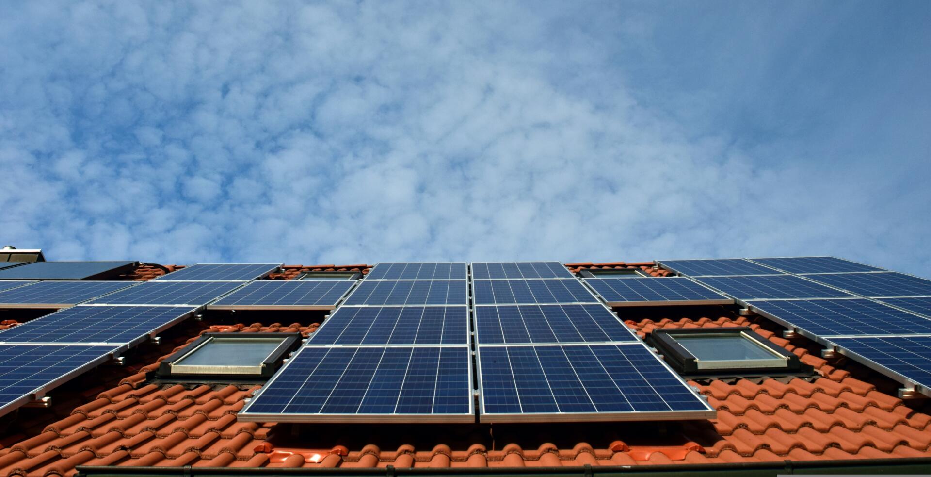L’ecologia nel settore della sicurezza: 2 tendenze chiave per un futuro più sostenibile